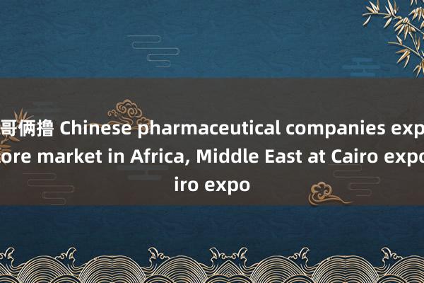 哥俩撸 Chinese pharmaceutical companies explore market in Africa, Middle East at Cairo expo