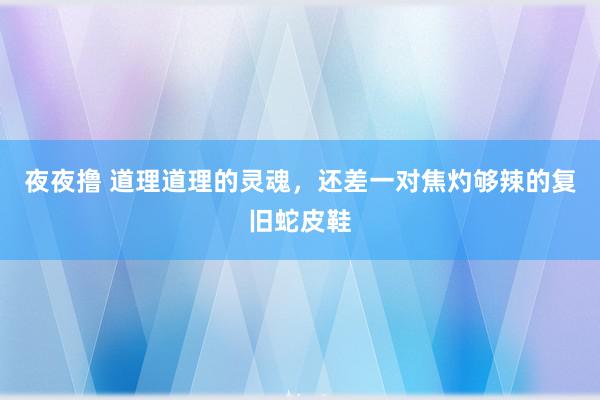 夜夜撸 道理道理的灵魂，还差一对焦灼够辣的复旧蛇皮鞋