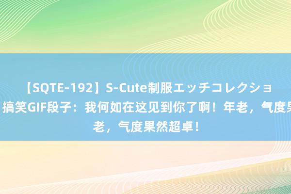 【SQTE-192】S-Cute制服エッチコレクション 8時間 搞笑GIF段子：我何如在这见到你了啊！年老，气度果然超卓！