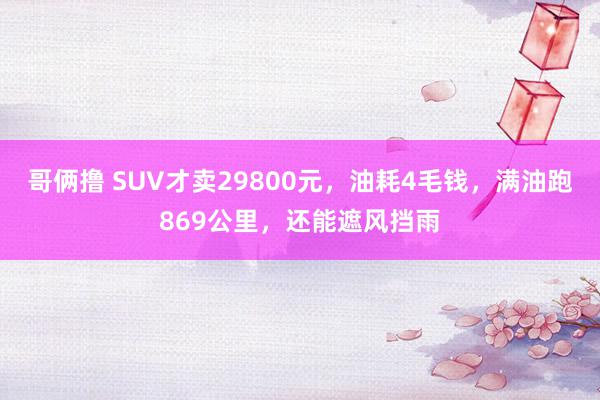 哥俩撸 SUV才卖29800元，油耗4毛钱，满油跑869公里，还能遮风挡雨