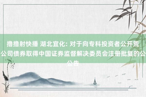 撸撸射快播 湖北宜化: 对于向专科投资者公开荒行公司债券取得中国证券监督解决委员会注册批复的公告