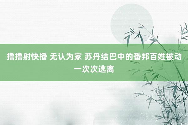 撸撸射快播 无认为家 苏丹结巴中的番邦百姓被动一次次逃离