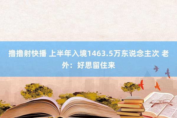 撸撸射快播 上半年入境1463.5万东说念主次 老外：好思留住来