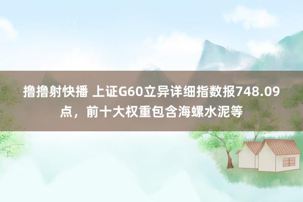 撸撸射快播 上证G60立异详细指数报748.09点，前十大权重包含海螺水泥等