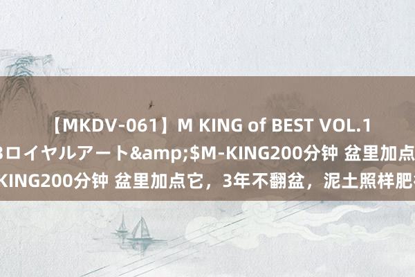 【MKDV-061】M KING of BEST VOL.1</a>2010-11-13ロイヤルアート&$M-KING200分钟 盆里加点它，3年不翻盆，泥土照样肥得流油。