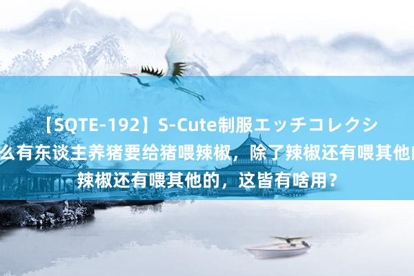 【SQTE-192】S-Cute制服エッチコレクション 8時間 为什么有东谈主养猪要给猪喂辣椒，除了辣椒还有喂其他的，这皆有啥用？