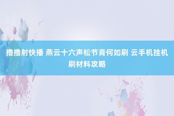 撸撸射快播 燕云十六声松节膏何如刷 云手机挂机刷材料攻略