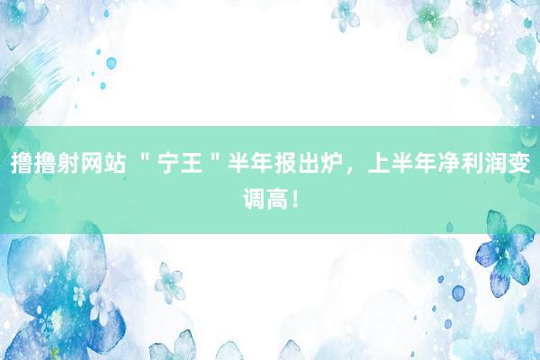 撸撸射网站 ＂宁王＂半年报出炉，上半年净利润变调高！