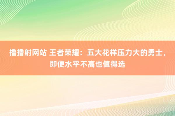 撸撸射网站 王者荣耀：五大花样压力大的勇士，即便水平不高也值得选