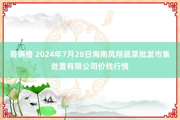 哥俩撸 2024年7月28日海南凤翔蔬菜批发市集处置有限公司价钱行情