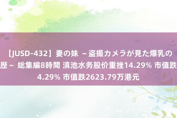 【JUSD-432】妻の妹 ～盗撮カメラが見た爆乳の妹を襲う男の遍歴～ 総集編8時間 滇池水务股价重挫14.29% 市值跌2623.79万港元