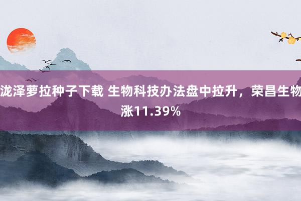 泷泽萝拉种子下载 生物科技办法盘中拉升，荣昌生物涨11.39%