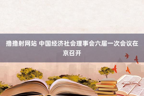 撸撸射网站 中国经济社会理事会六届一次会议在京召开