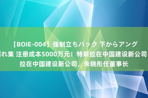 【BOIE-004】強制立ちバック 下からアングル巨乳激ハメ激揺れ集 注册成本5000万元！特斯拉在中国建设新公司，朱晓彤任董事长