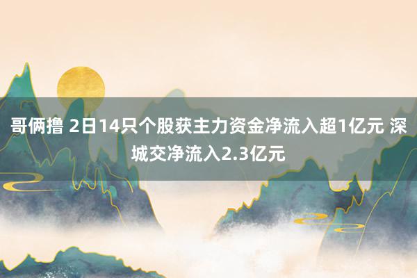 哥俩撸 2日14只个股获主力资金净流入超1亿元 深城交净流入2.3亿元