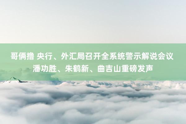 哥俩撸 央行、外汇局召开全系统警示解说会议 潘功胜、朱鹤新、曲吉山重磅发声