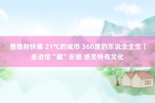 撸撸射快播 21℃的城市 360度的东说念主生｜走进馆“藏”安顺 感受特有文化