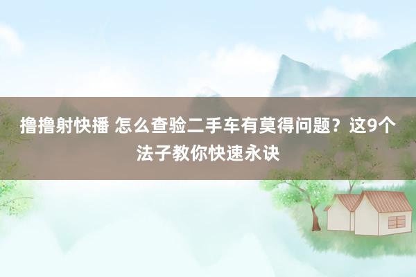 撸撸射快播 怎么查验二手车有莫得问题？这9个法子教你快速永诀