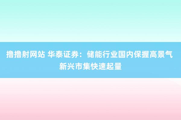 撸撸射网站 华泰证券：储能行业国内保握高景气 新兴市集快速起量