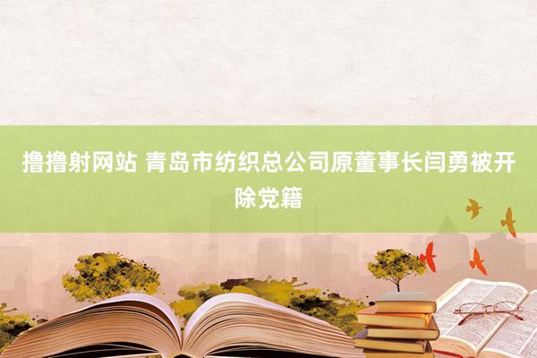 撸撸射网站 青岛市纺织总公司原董事长闫勇被开除党籍