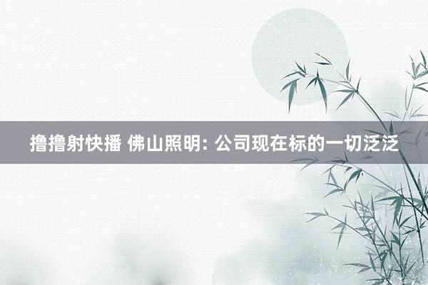 撸撸射快播 佛山照明: 公司现在标的一切泛泛