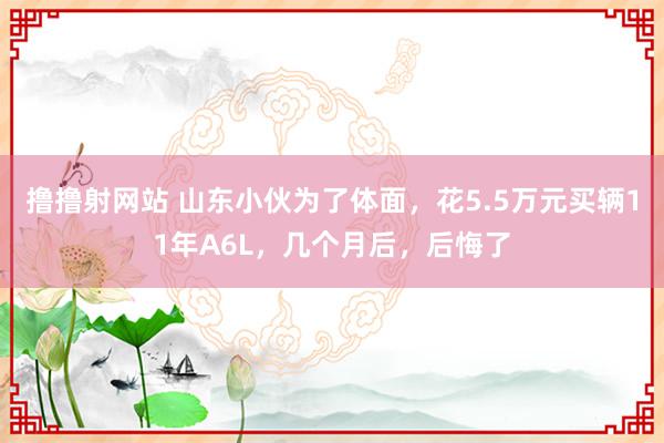 撸撸射网站 山东小伙为了体面，花5.5万元买辆11年A6L，几个月后，后悔了