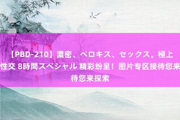 【PBD-210】濃密、ベロキス、セックス。極上接吻性交 8時間スペシャル 精彩纷呈！图片专区接待您来探索