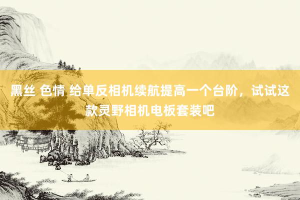 黑丝 色情 给单反相机续航提高一个台阶，试试这款灵野相机电板套装吧