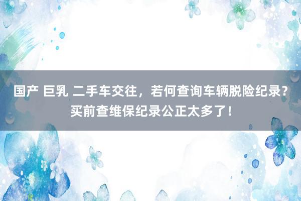 国产 巨乳 二手车交往，若何查询车辆脱险纪录？买前查维保纪录公正太多了！