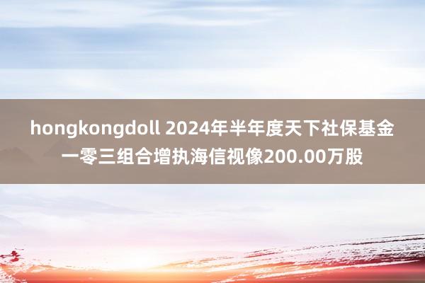 hongkongdoll 2024年半年度天下社保基金一零三组合增执海信视像200.00万股