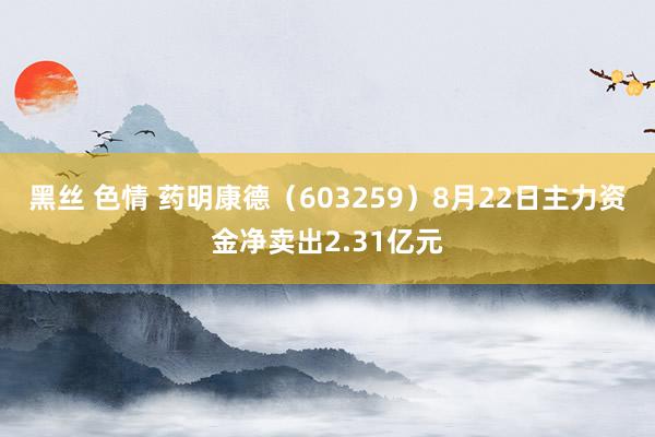 黑丝 色情 药明康德（603259）8月22日主力资金净卖出2.31亿元